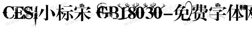 CESI小标宋 GB18030字体转换